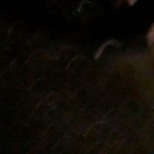 Meet your Posher, Thea